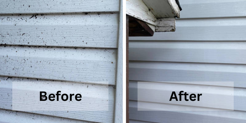 Siding Cleaning in Steinbach, Manitoba