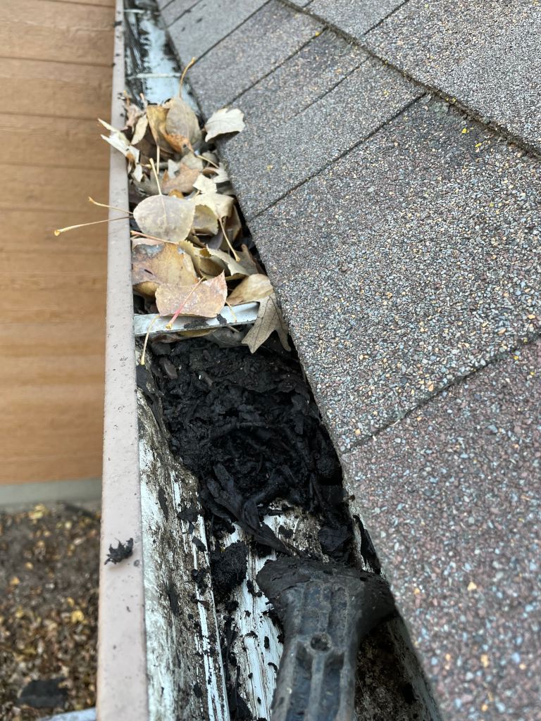 Gutter Cleaning, Steinbach, MB