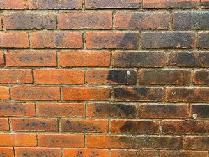 4 Common Stains Our Brick Cleaning Experts Can Tackle