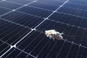 How Often Should You Schedule Solar Panel Washing Services?