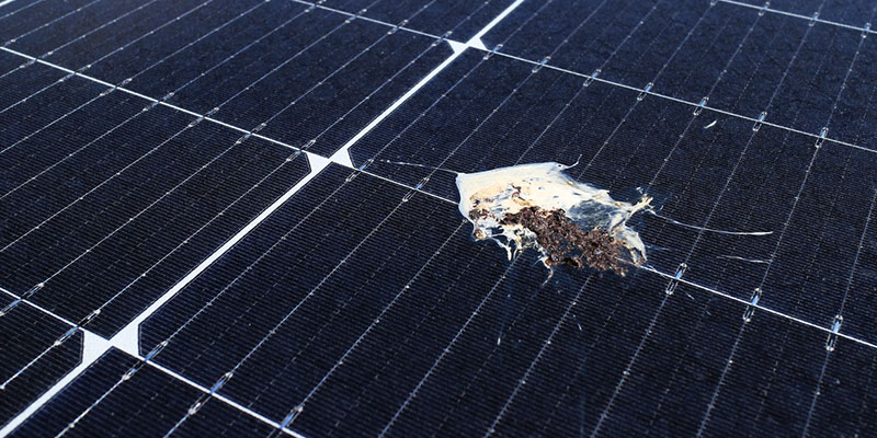 How Often Should You Schedule Solar Panel Washing Services?