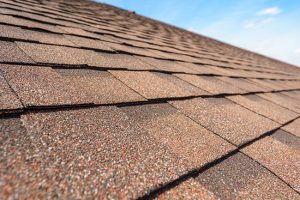 Extend Your Roof’s Lifespan With Roof Soft Washing Extend Your Roof's Lifespan With Roof Soft Washing