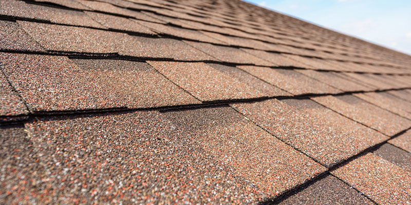 Extend Your Roof's Lifespan With Roof Soft Washing