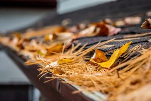 Gutter Cleaning Essentials: How Soft Washing Protects Your Home’s Drainage Gutter Cleaning Essentials: How Soft Washing Protects Your Home's Drainage