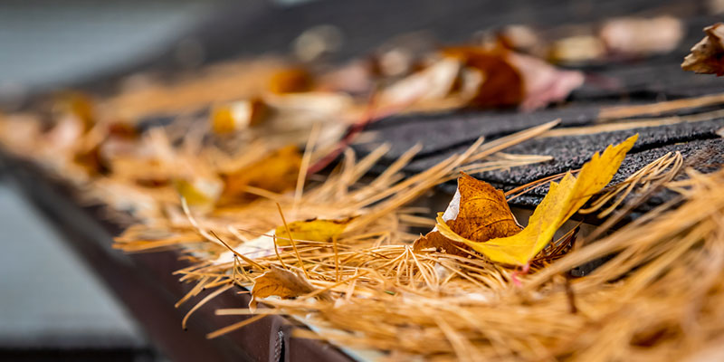 Gutter Cleaning Essentials: How Soft Washing Protects Your Home's Drainage