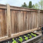 Fence Cleaning