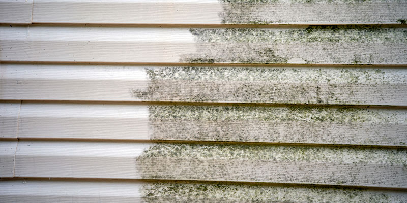 Four Reasons to Choose Soft Washing for Your Home