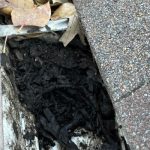 Gutter Cleaning Before