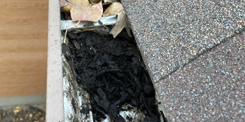 Gutter Cleaning Before