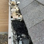 Gutter Washing