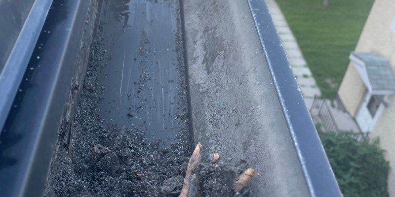 Gutter Cleaning After