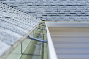 Schedule Professional Gutter Cleaning Services to Avoid These Issues Schedule Professional Gutter Cleaning Services to Avoid These Issues