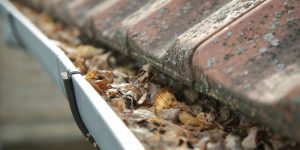 Why You Should Leave Gutter Washing to Us
